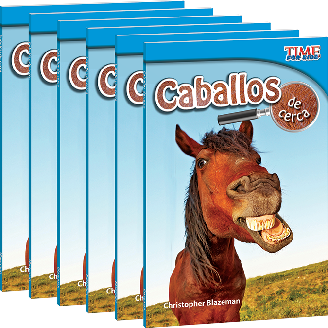 Caballos de cerca 6-Pack