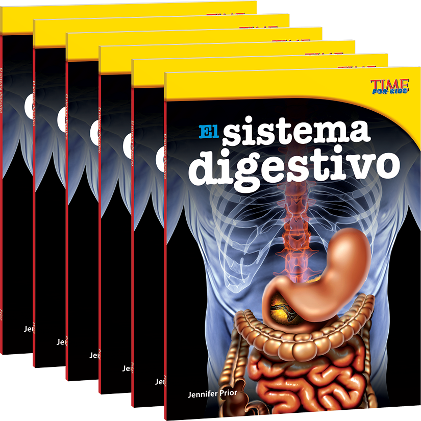 El sistema digestivo 6-Pack