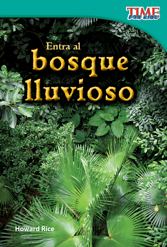 Entra al bosque lluvioso