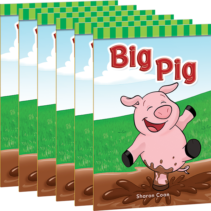 Big Pig 6-Pack