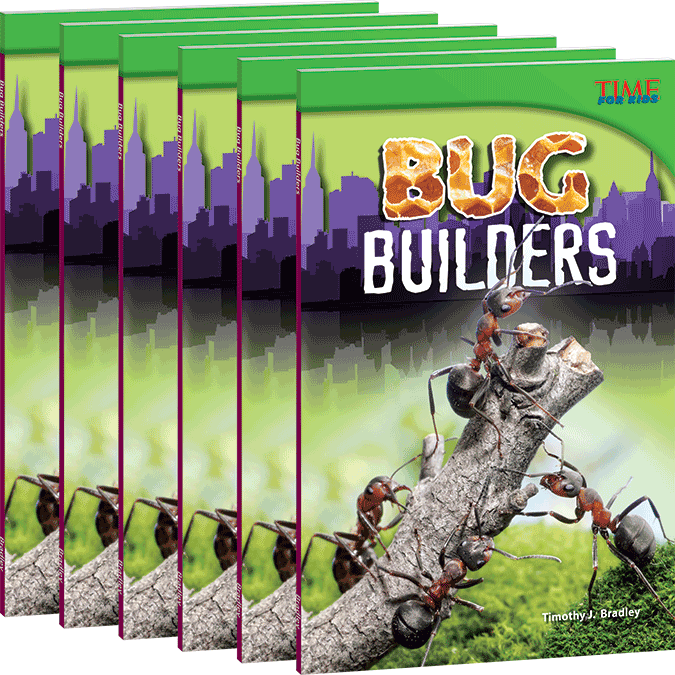 Bug Builders 6-Pack