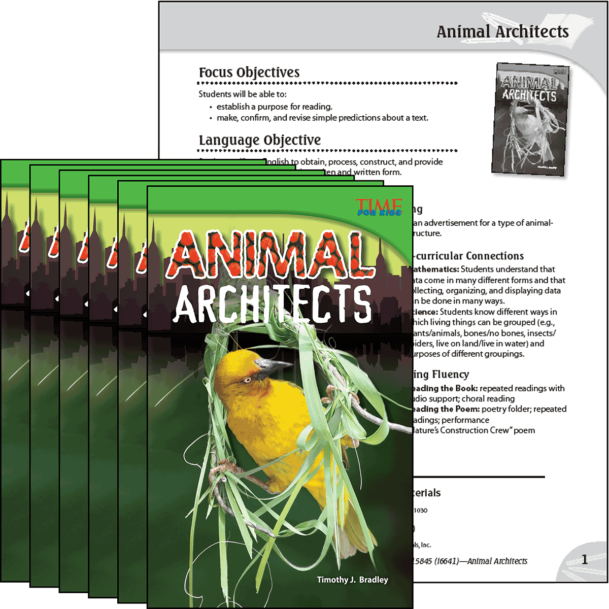 Animal Architects 6-Pack