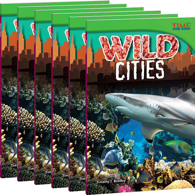 Wild Cities 6-Pack