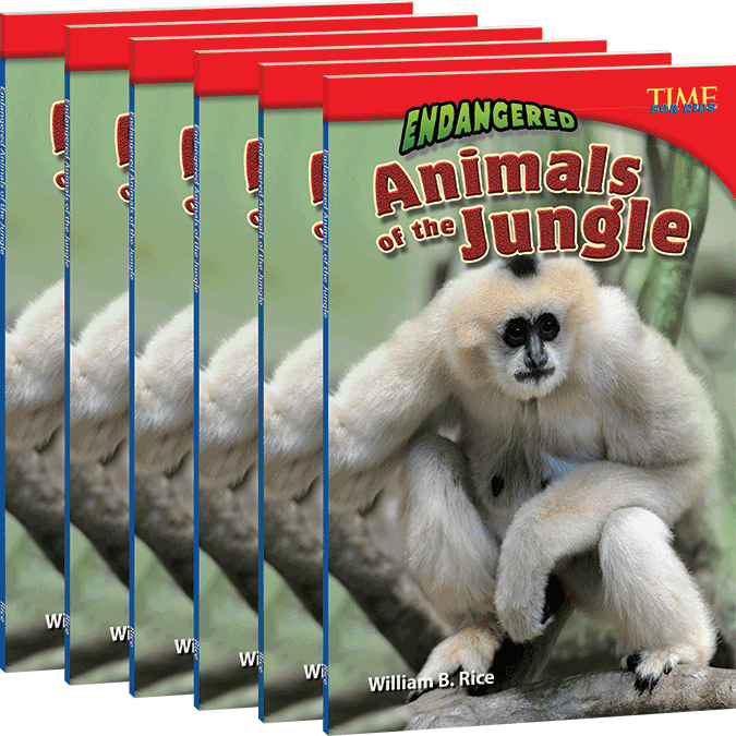 Endangered Animals of the Jungle 6-Pack