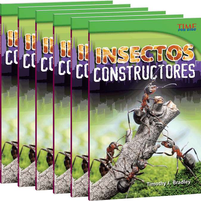 Insectos constructores 6-Pack