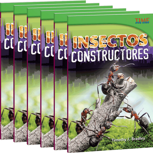 Insectos constructores 6-Pack