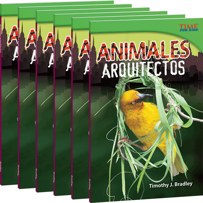 Animales arquitectos 6-Pack