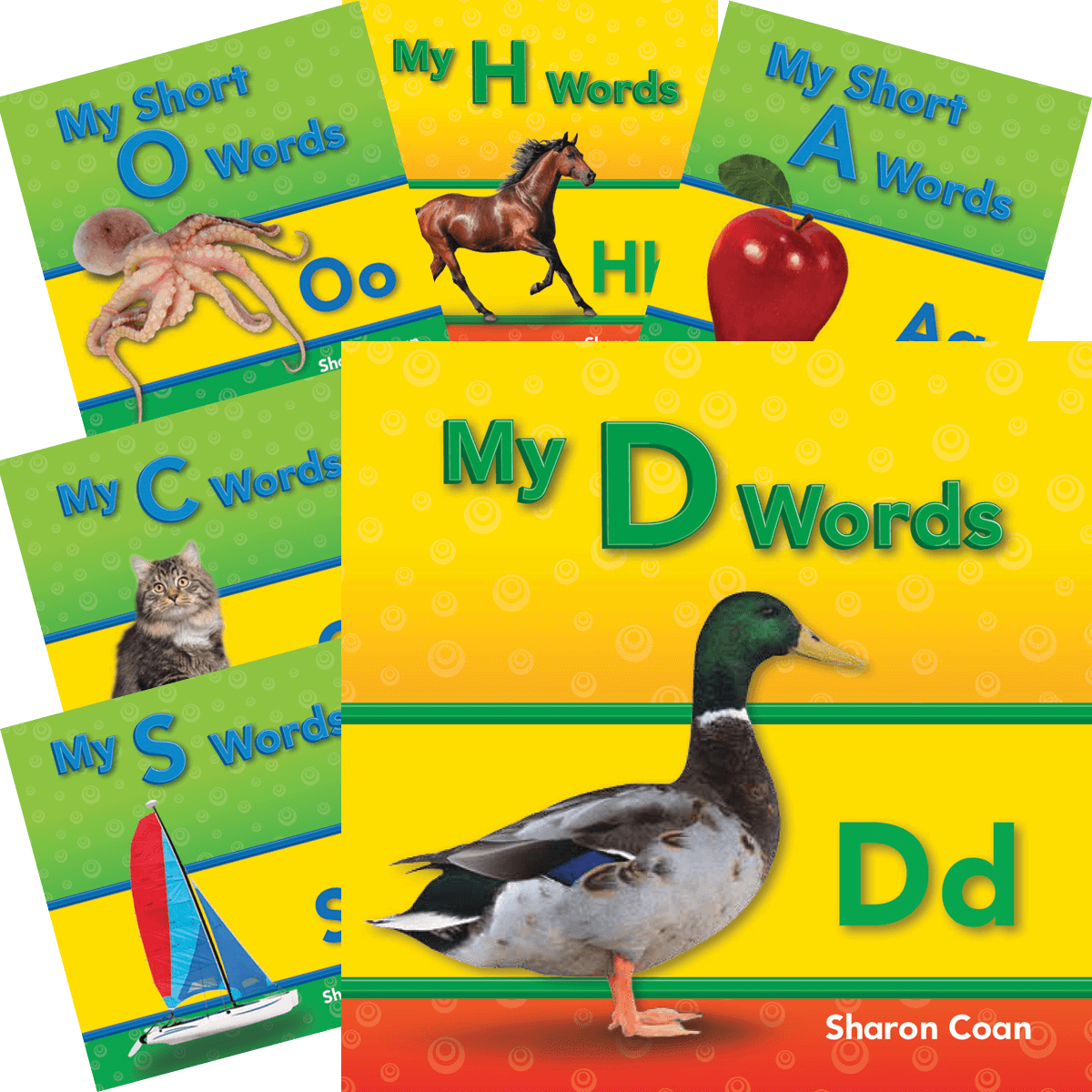 My First Consonants and Vowels 21-Book Set