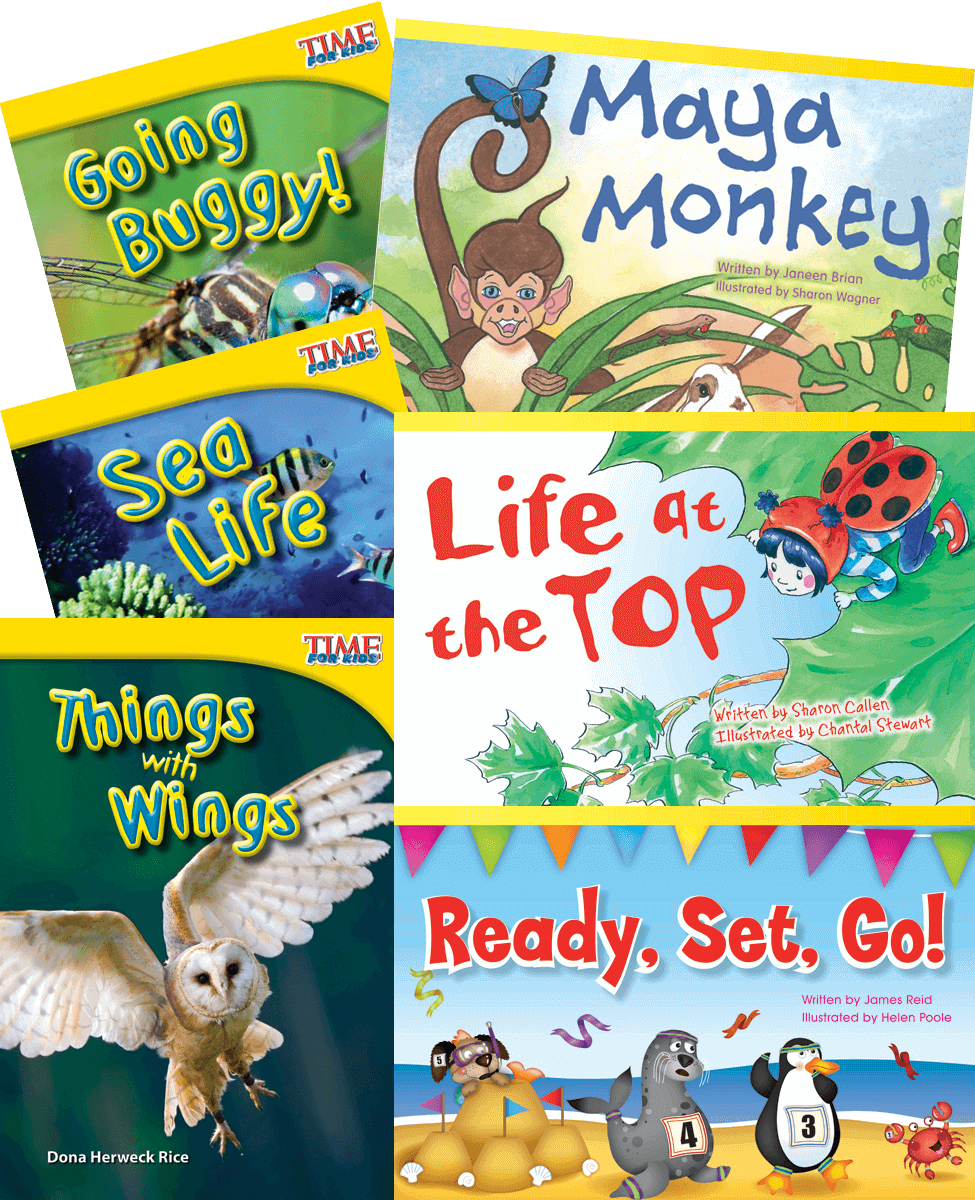 Animal Groups  6-Book Set