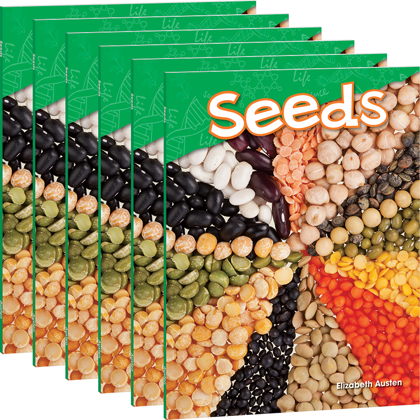 Seeds 6-Pack