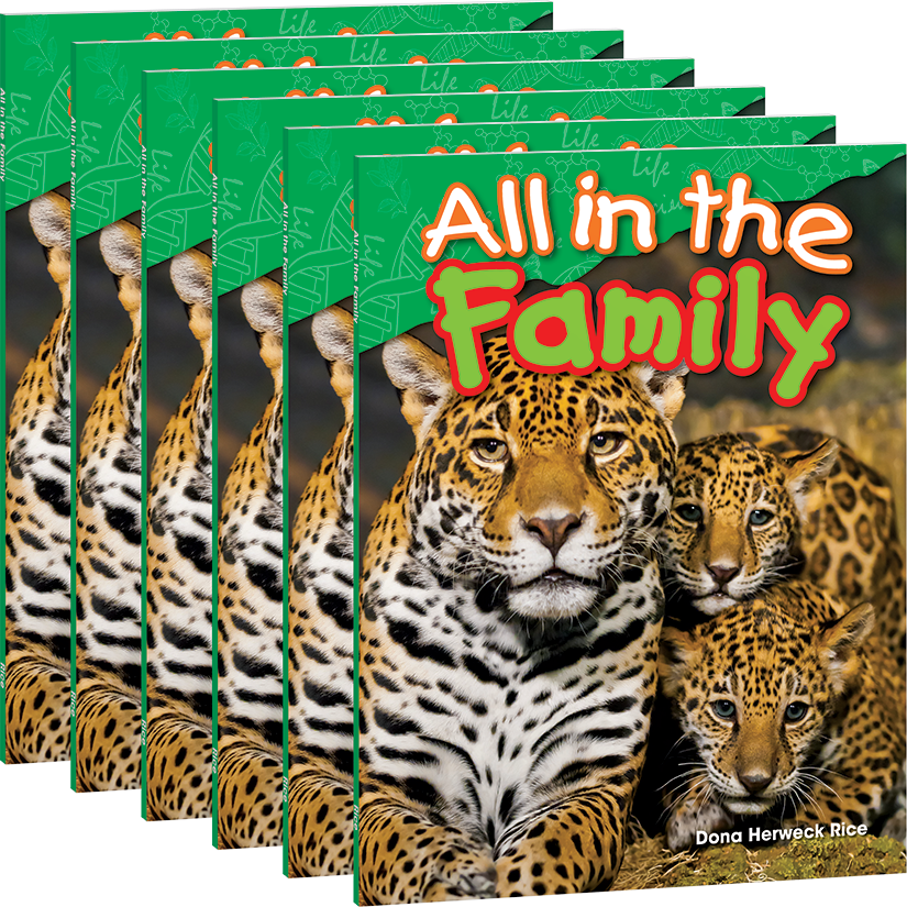 All in the Family 6-Pack