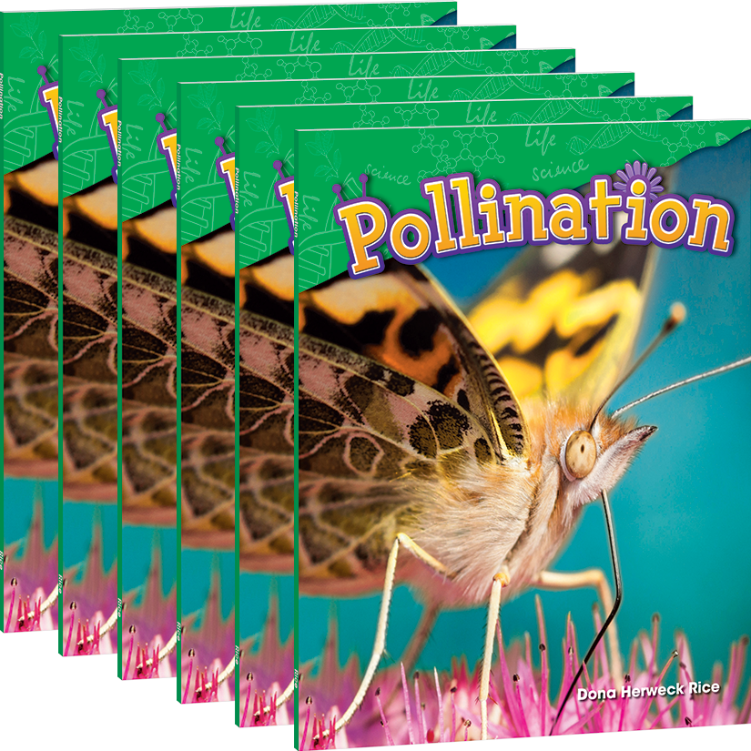 Pollination 6-Pack