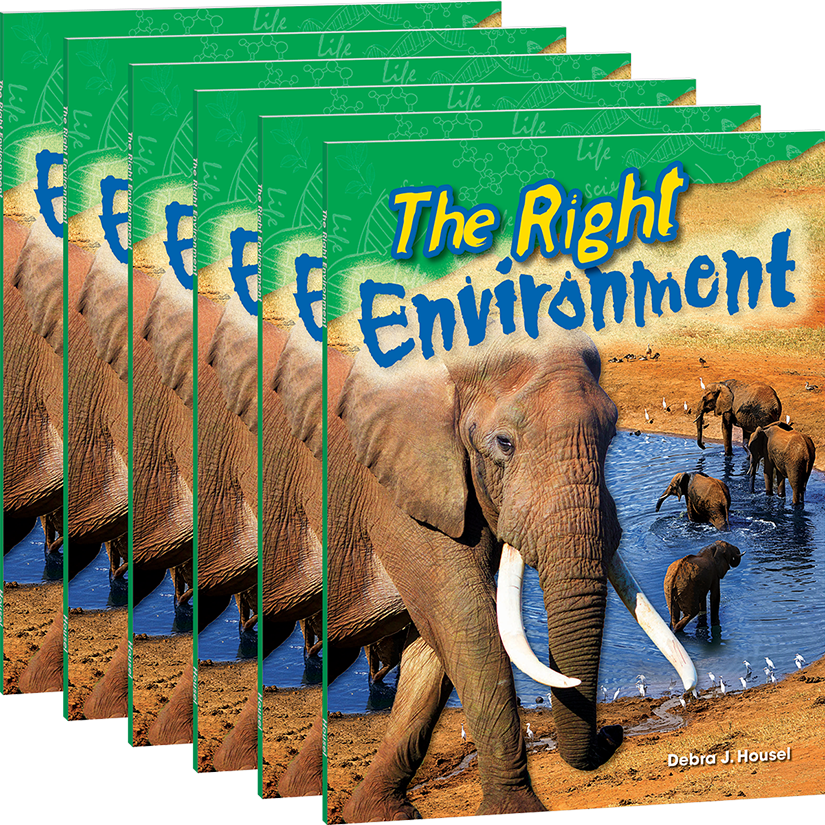 The Right Environment 6-Pack