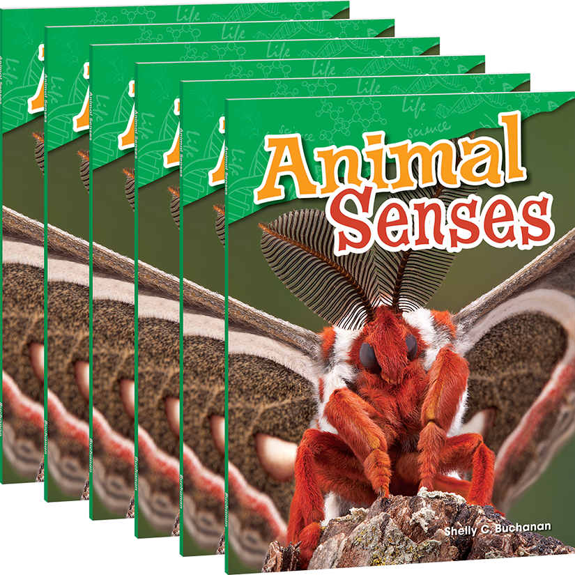 Animal Senses 6-Pack