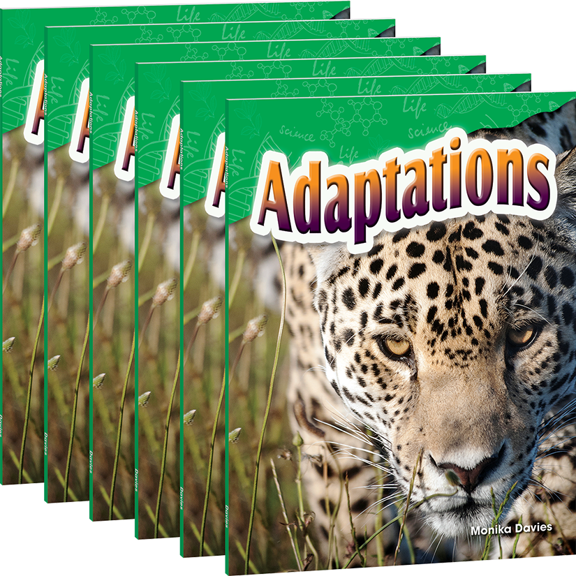 Adaptations 6-Pack