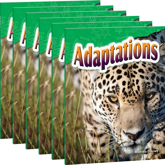 Adaptations 6-Pack