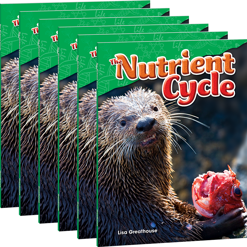 The Nutrient Cycle 6-Pack