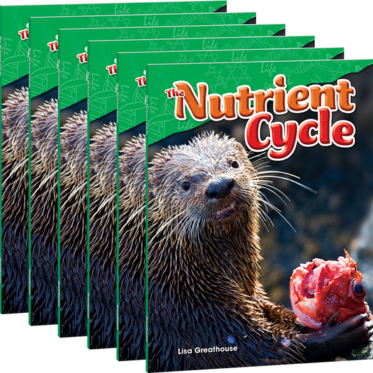 The Nutrient Cycle 6-Pack