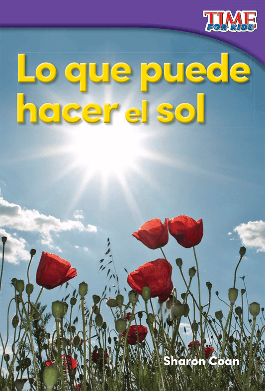 Lo que puede hacer el sol