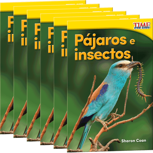 Pájaros e insectos 6-Pack