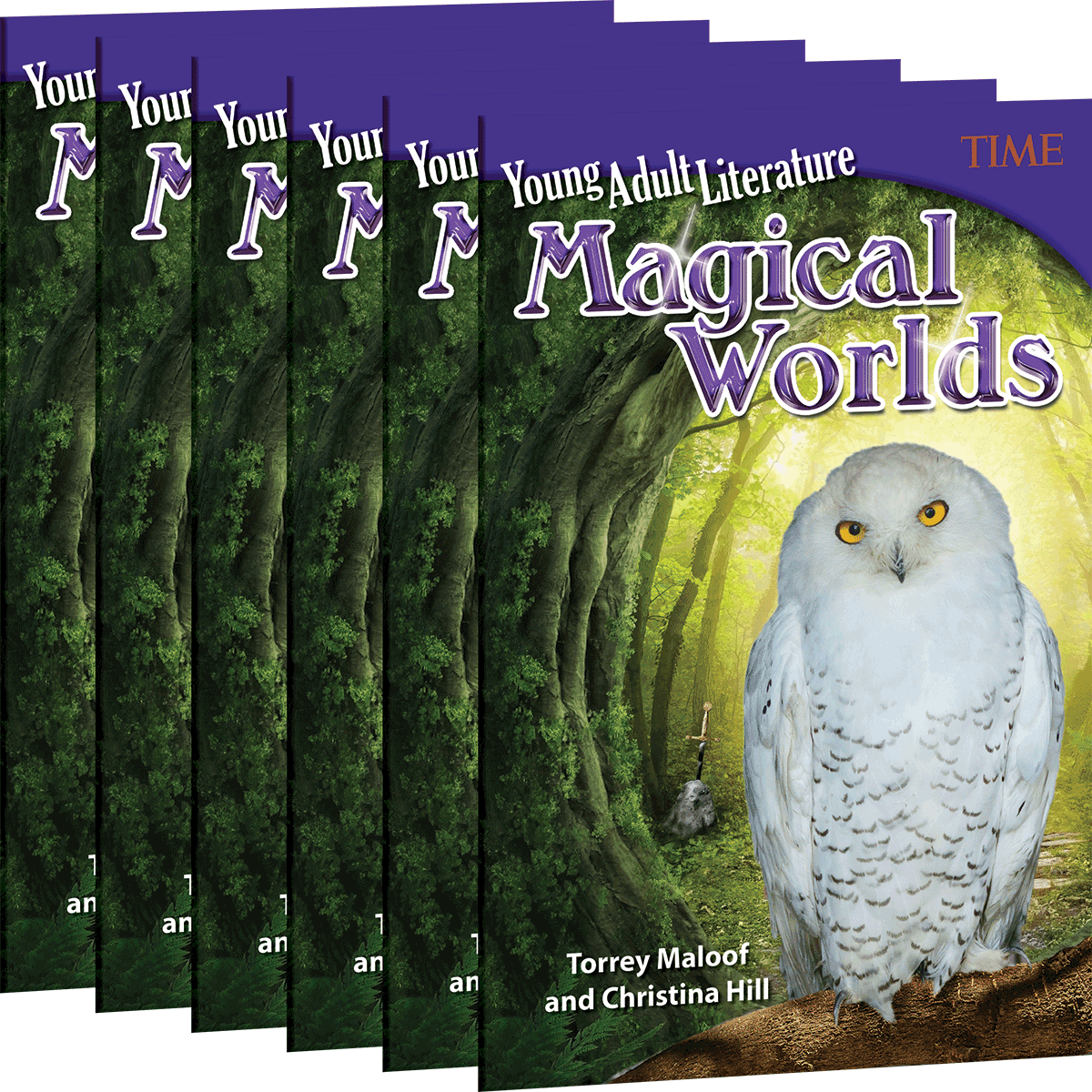 Young Adult Literature: Magical Worlds 6-Pack