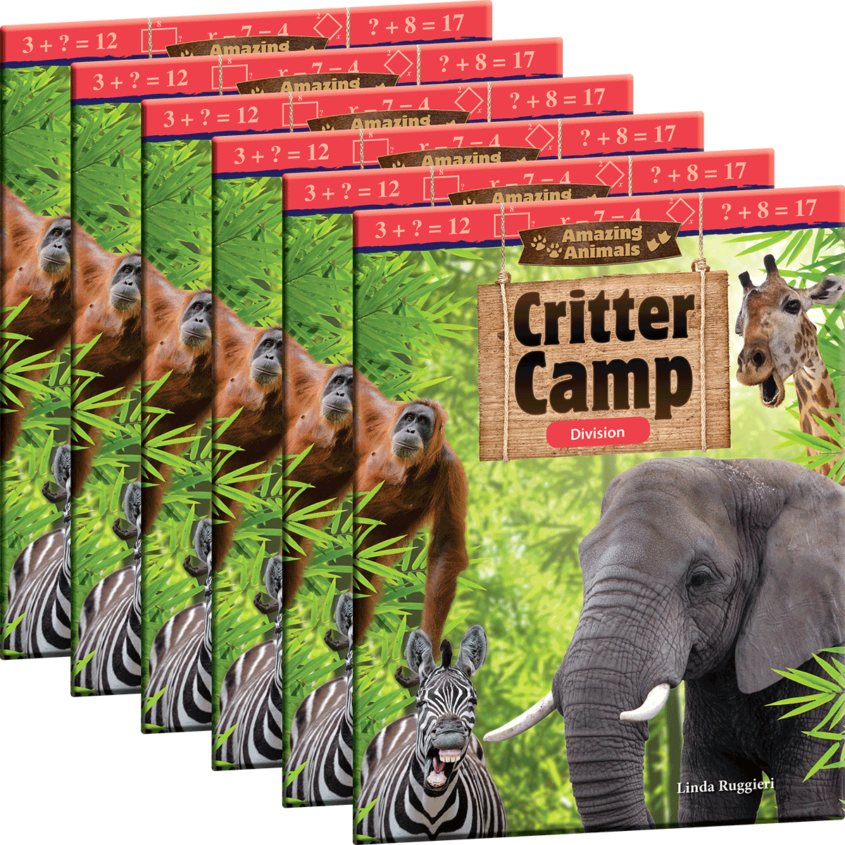 Amazing Animals: Critter Camp: Division 6-Pack