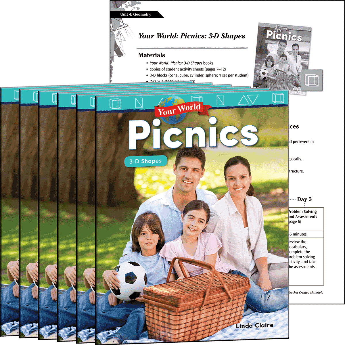 Your World: Picnics: 3-D Shapes 6-Pack