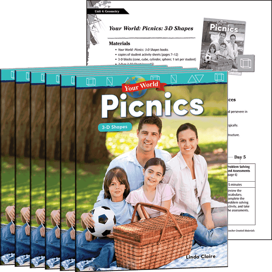 Your World: Picnics: 3-D Shapes 6-Pack