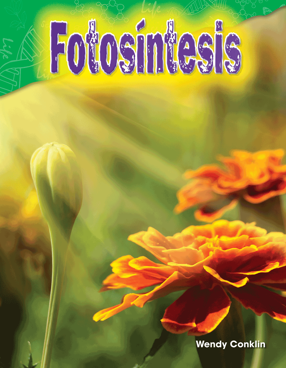 Fotosíntesis ebook