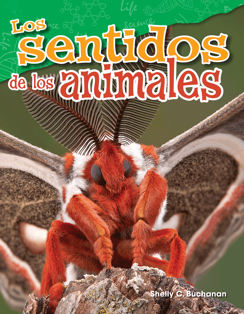 Los sentidos de los animales ebook