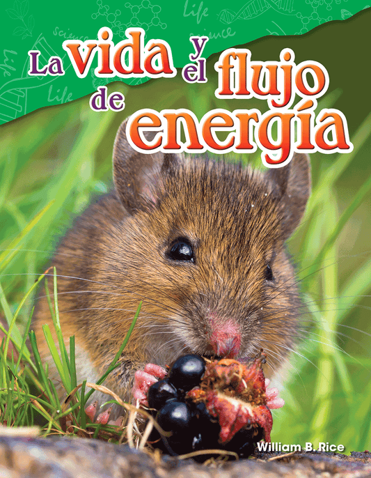 La vida y el flujo de energía