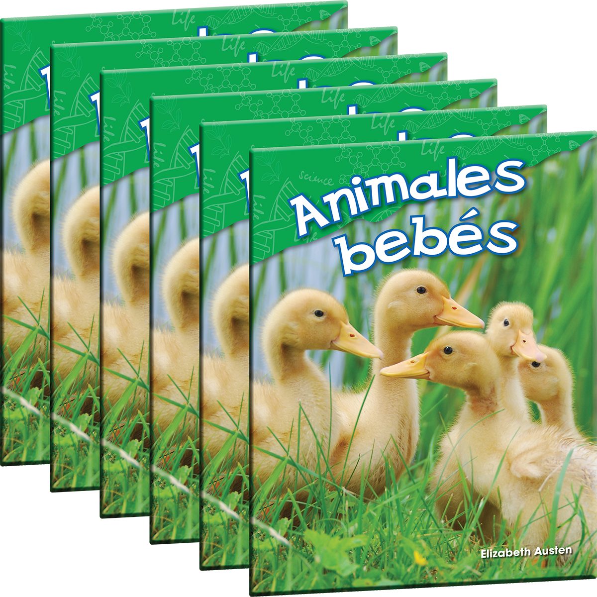 Animales bebés 6-Pack