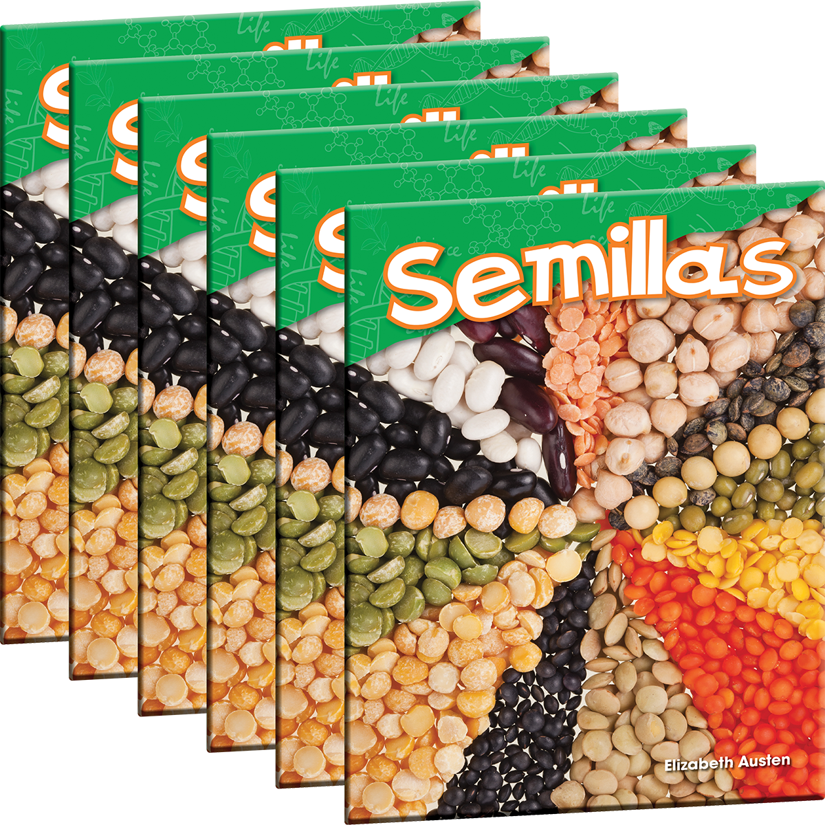 Semillas 6-Pack