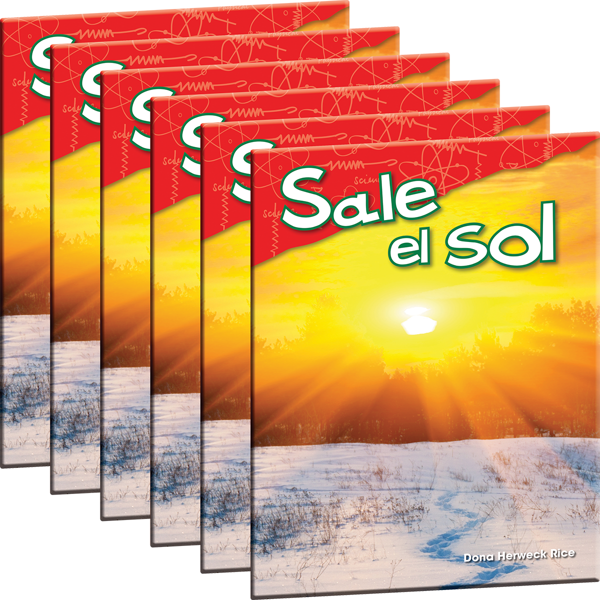 Sale el sol 6-Pack