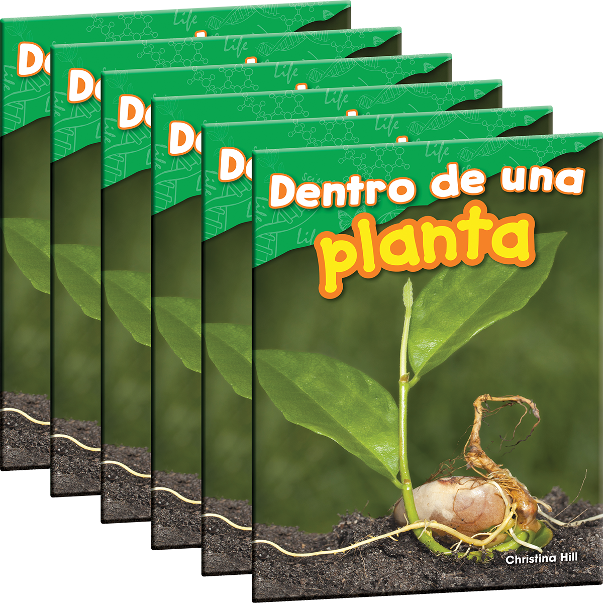 Dentro de una planta 6-Pack