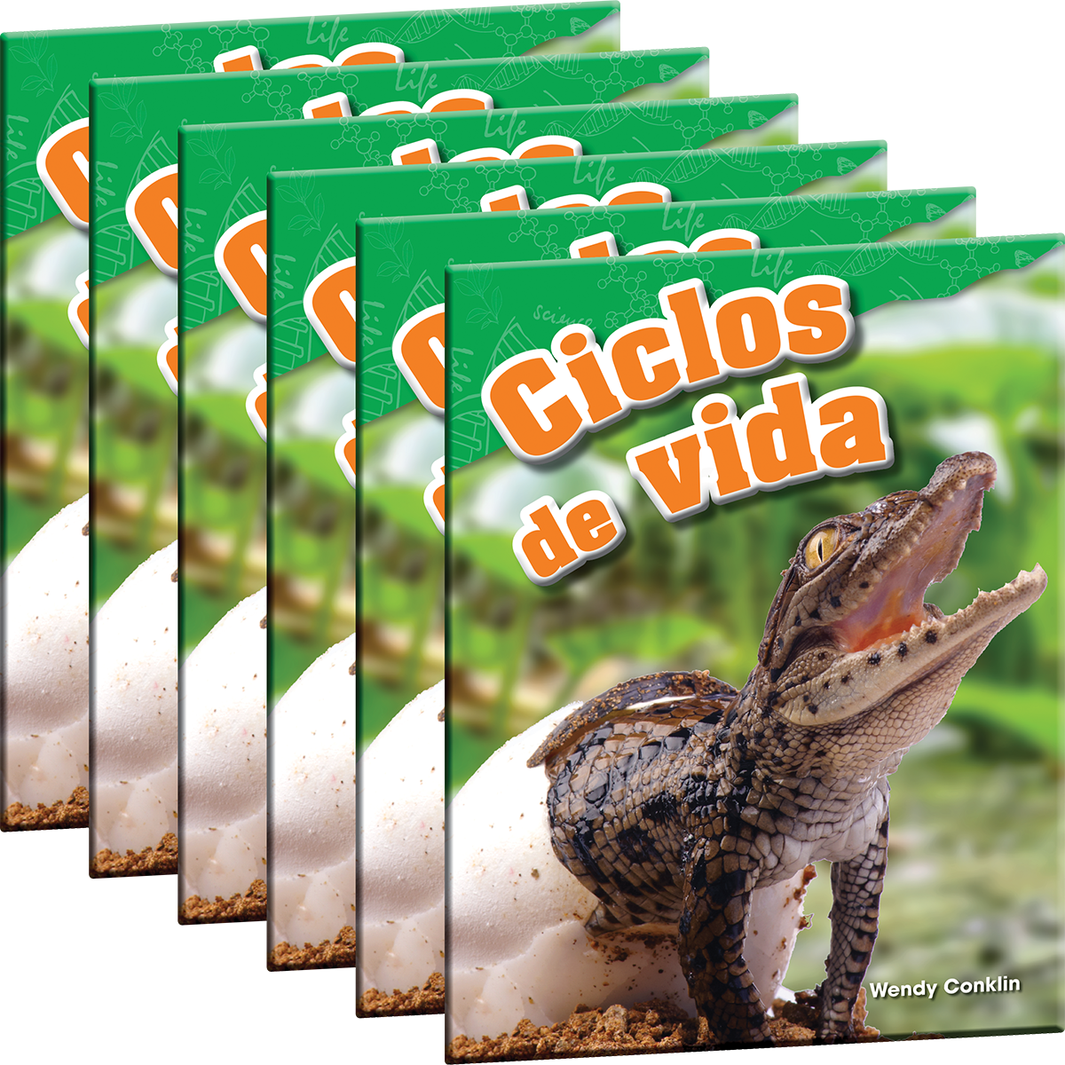 Ciclos de vida 6-Pack