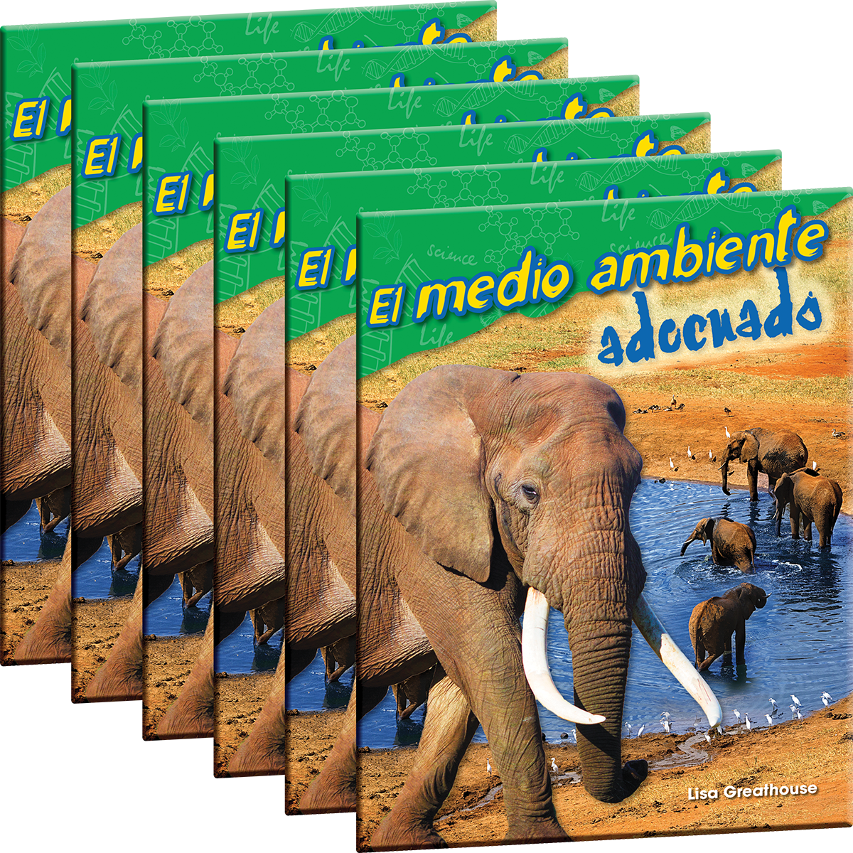 El medio ambiente adecuado 6-Pack