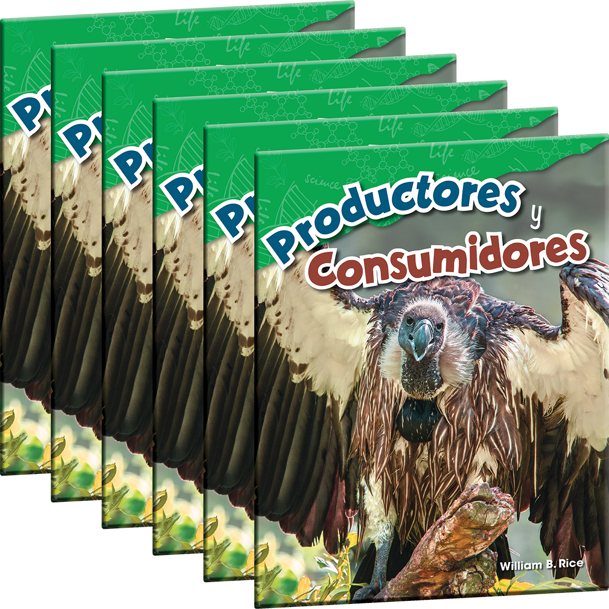 Productores y consumidores 6-Pack