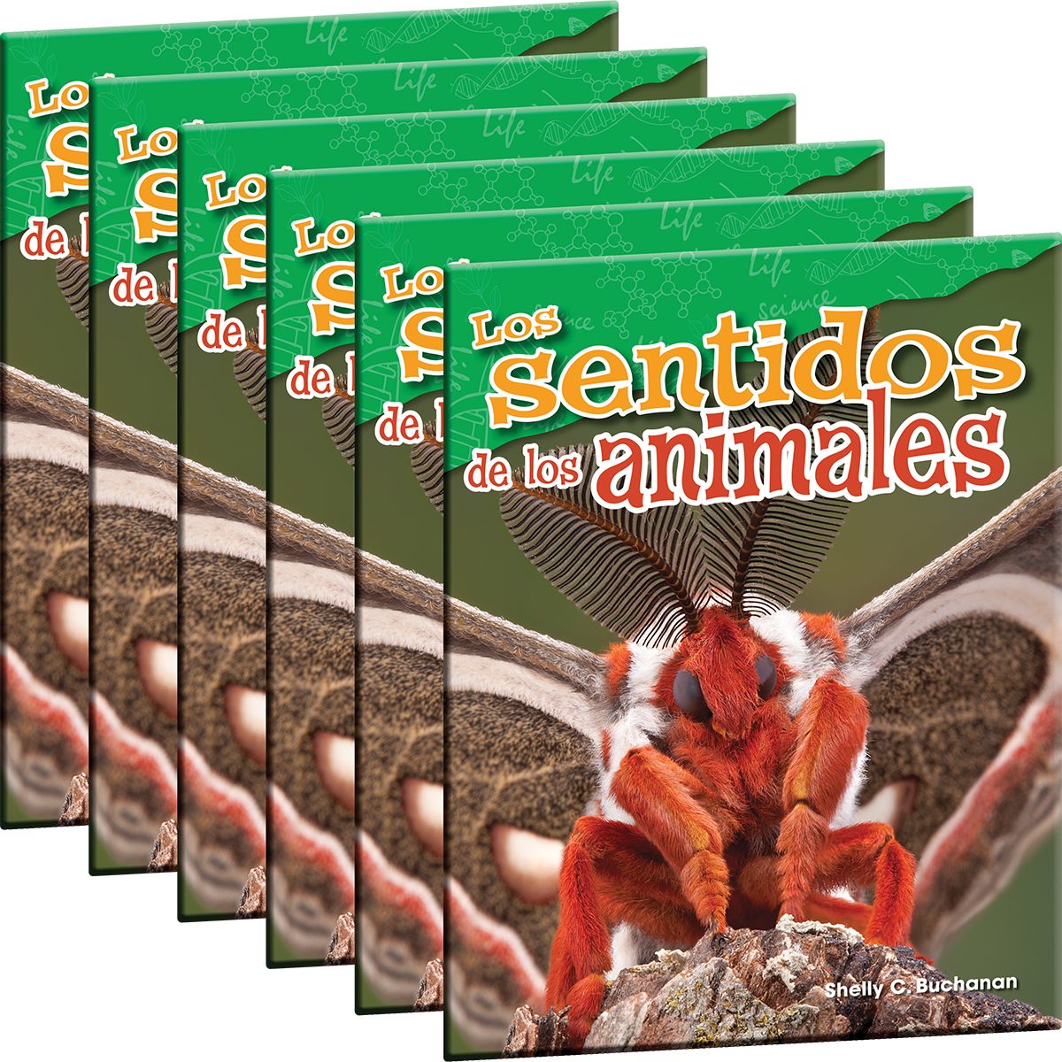 Los sentidos de los animales 6-Pack