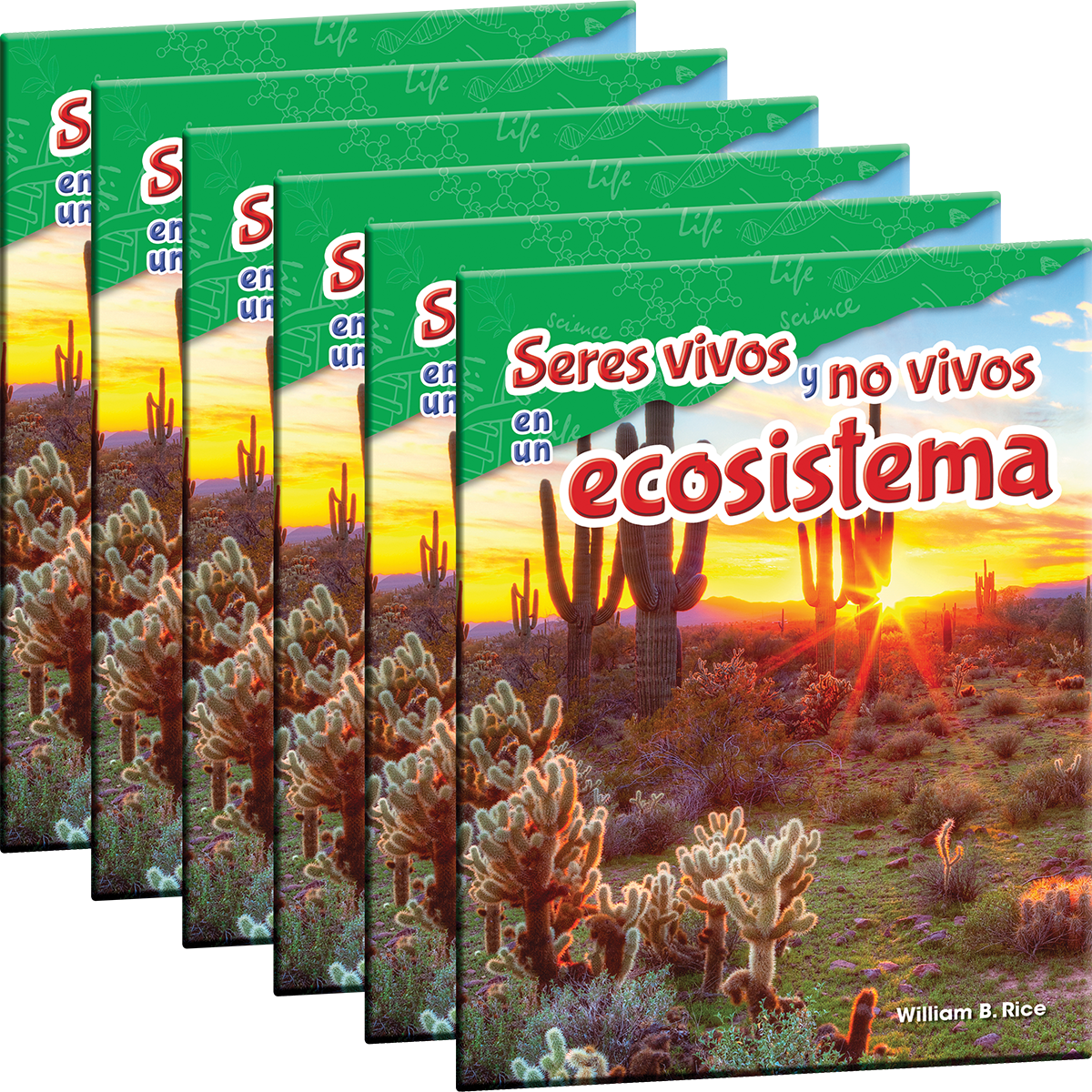 Seres vivos y no vivos en un ecosistema 6-Pack