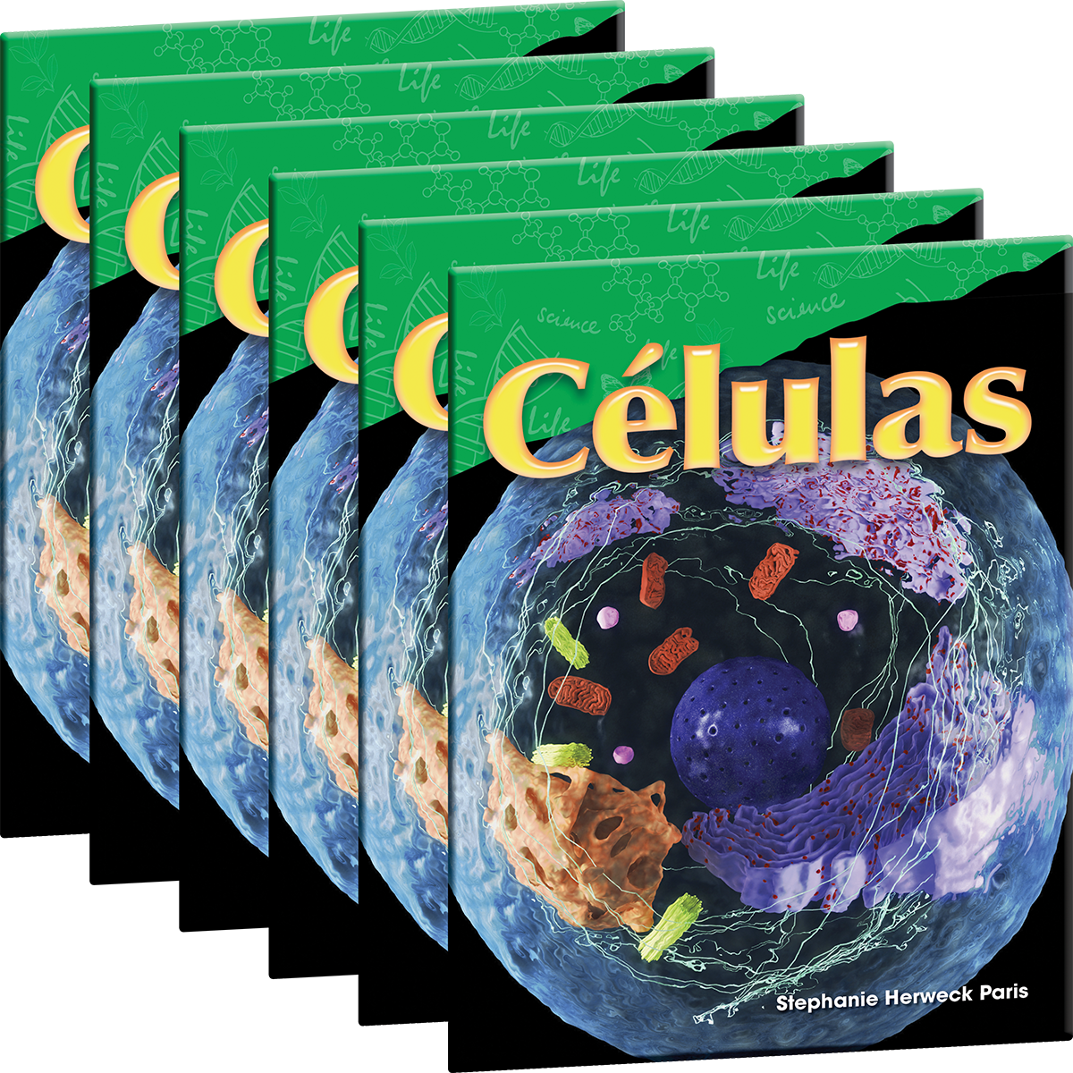 Células 6-Pack