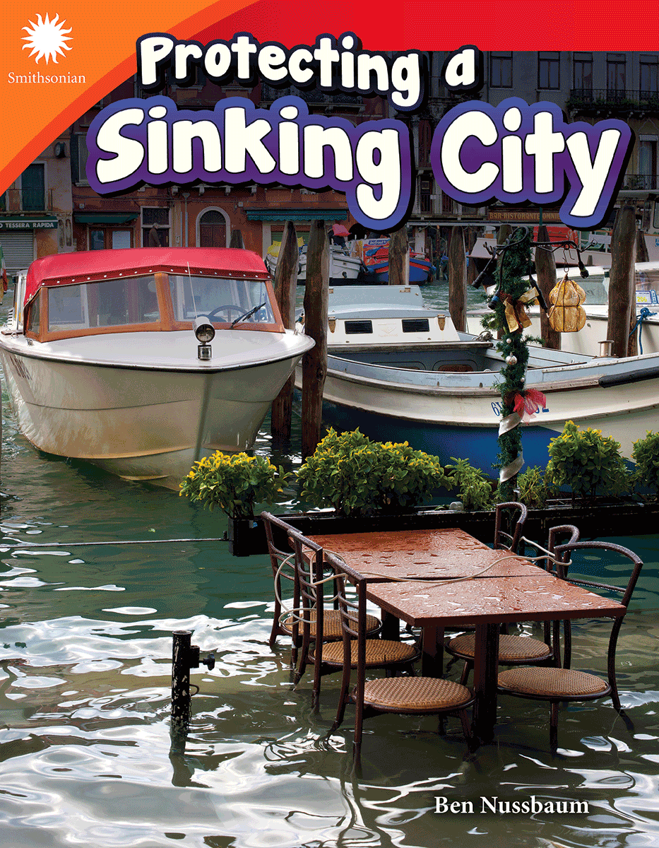 Protecting a Sinking City ebook