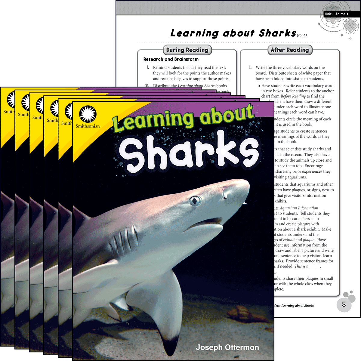 Learning about Sharks 6-Pack