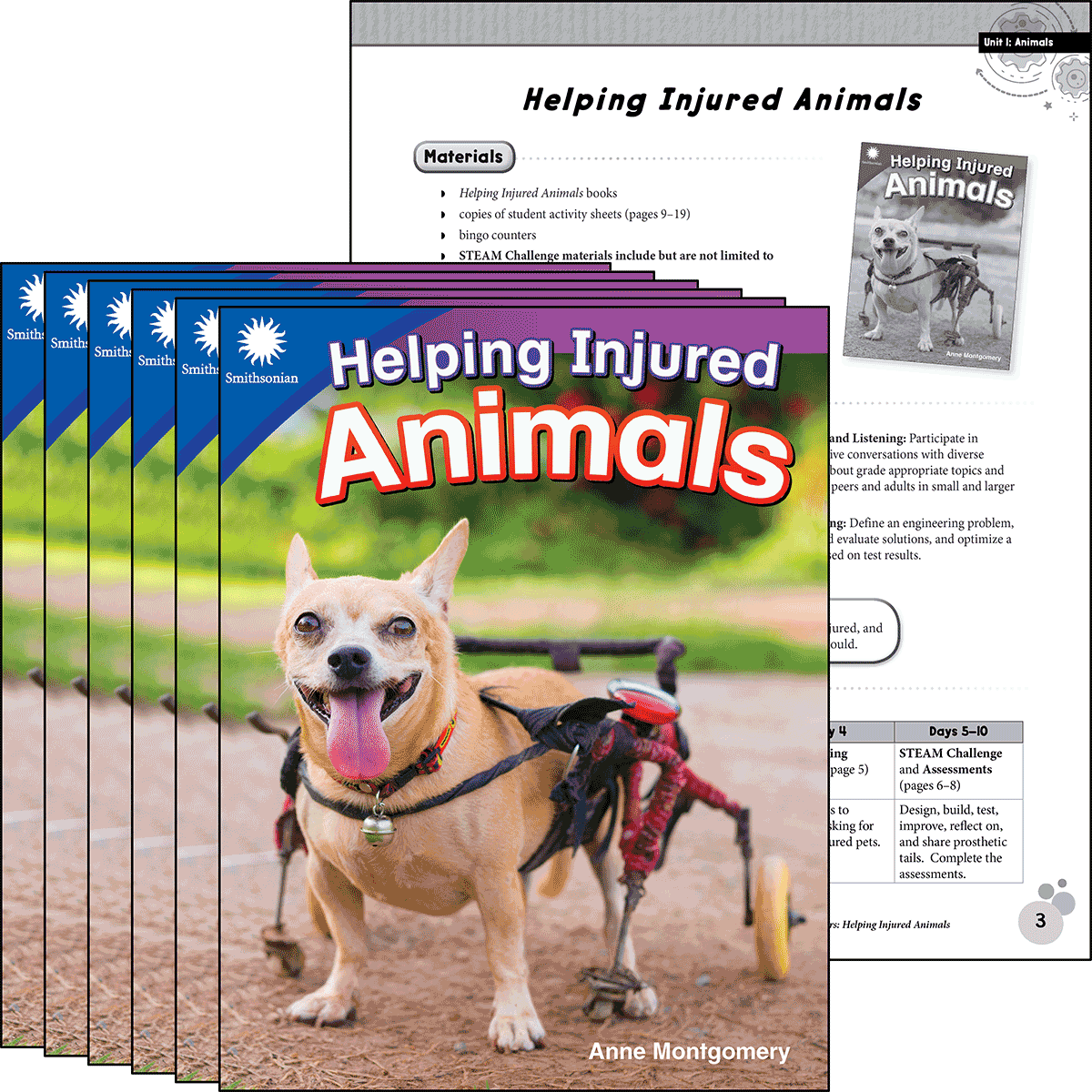 Helping Injured Animals 6-Pack