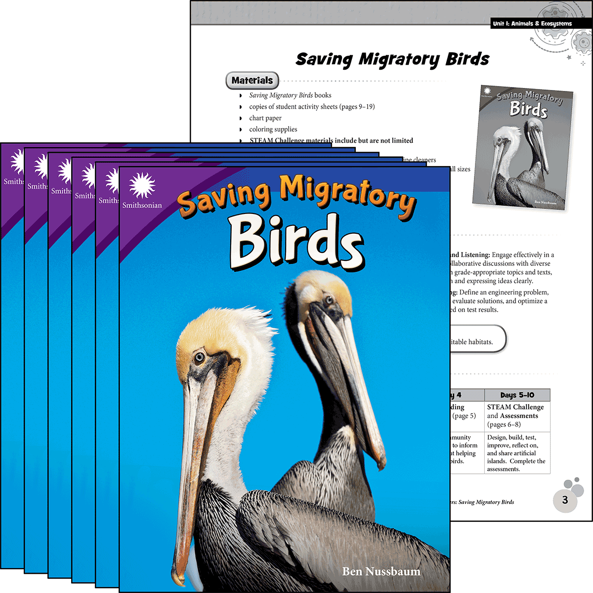 Saving Migratory Birds 6-Pack
