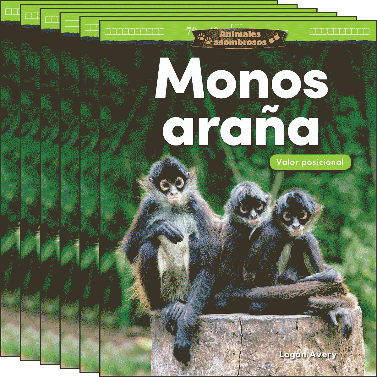 Animales asombrosos: Monos araña: Valor posicional 6-Pack
