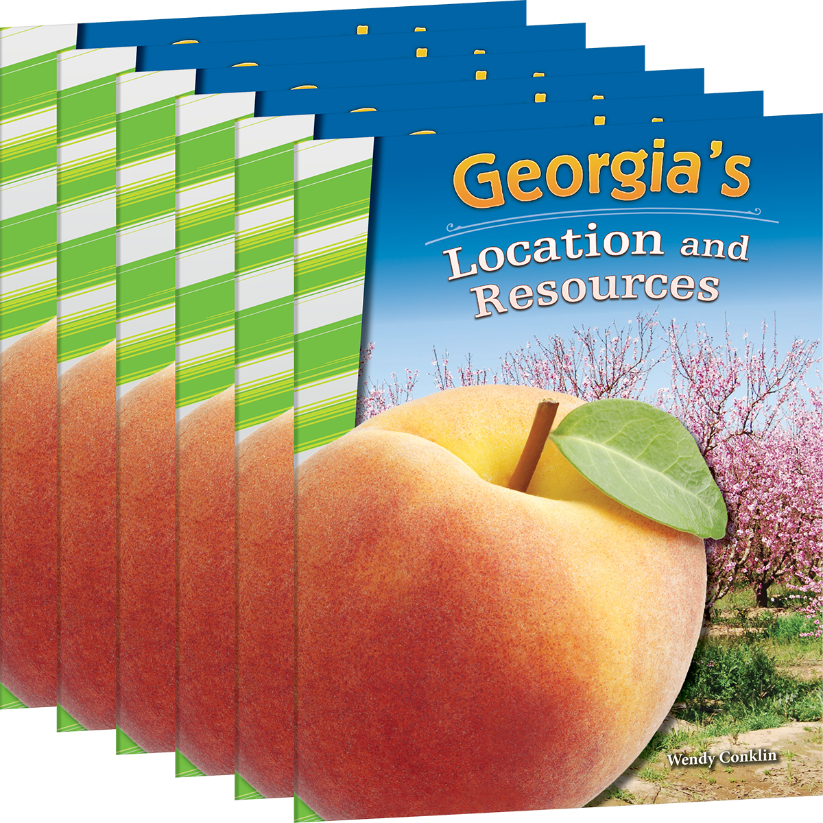 Georgia's Location and Resources 6-Pack