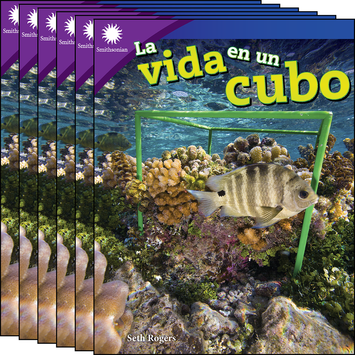 La vida en un cubo 6-Pack
