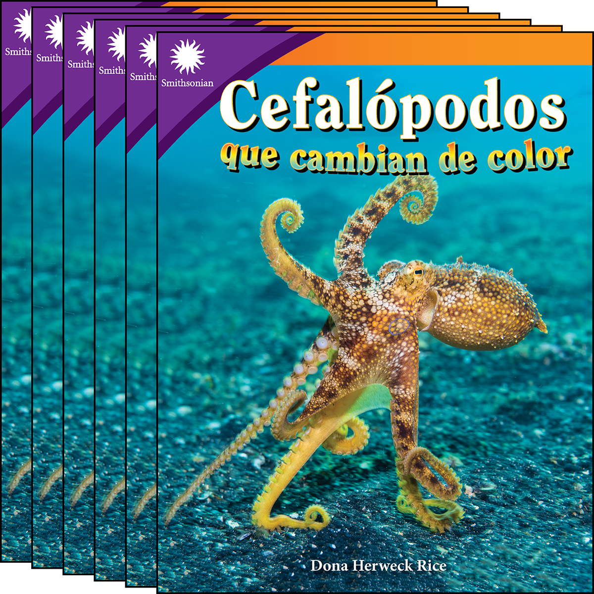 Cefalópodos que cambian de color 6-Pack