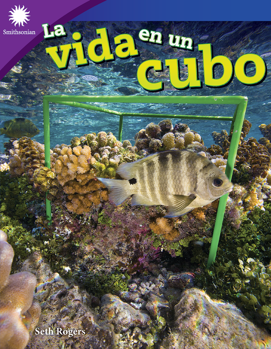 La vida en un cubo ebook